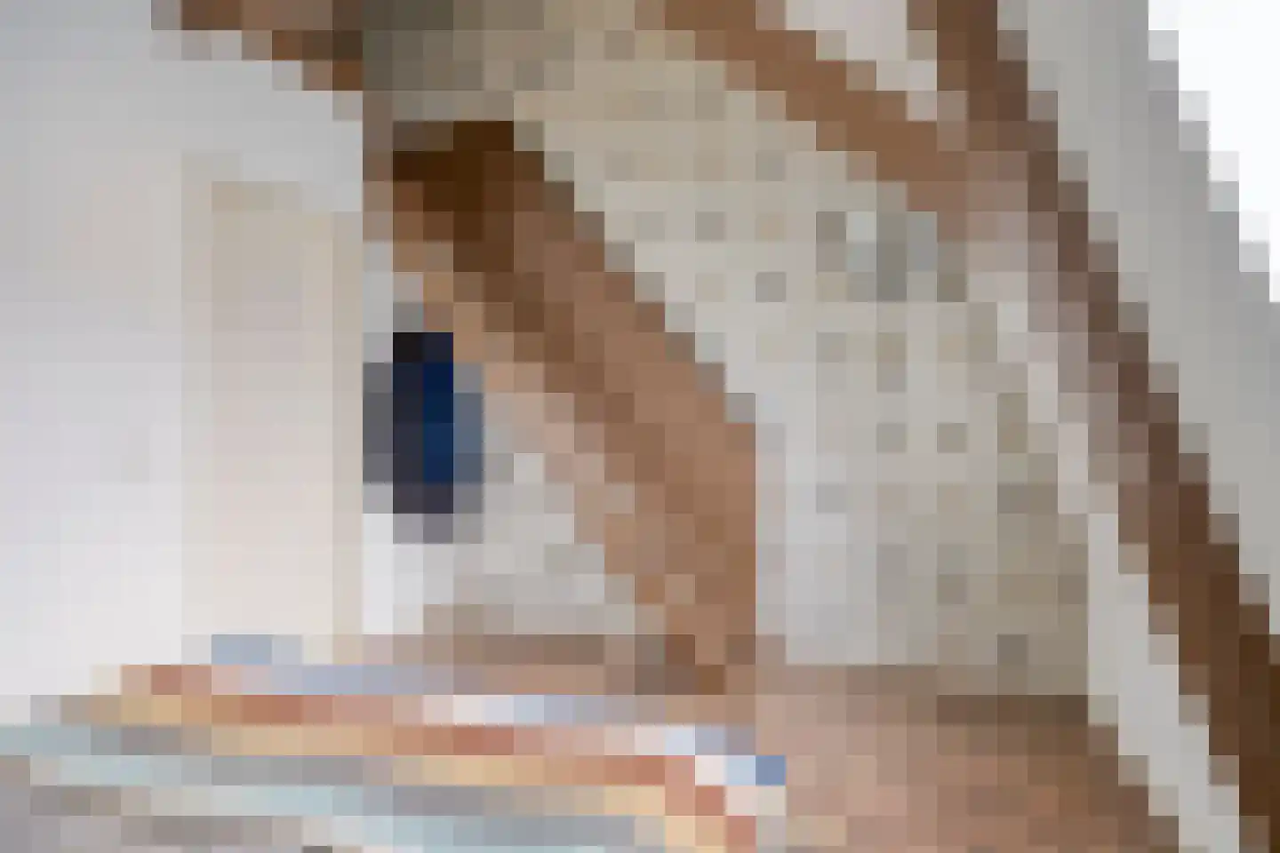 Oudelandsestraat 35 Tholen thumbnail 39