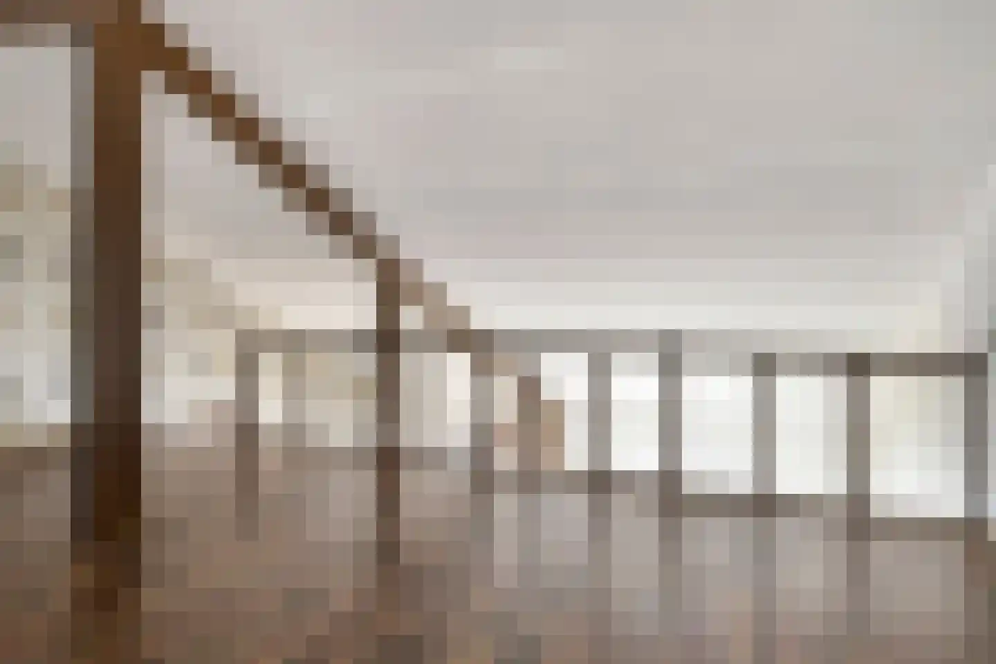 Oudelandsestraat 35 Tholen thumbnail 41