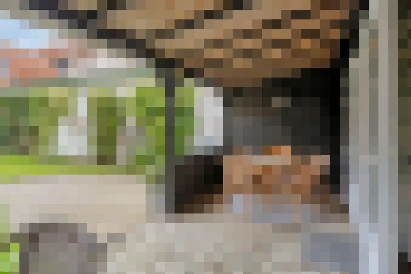 Oudelandsestraat 35 Tholen thumbnail 57