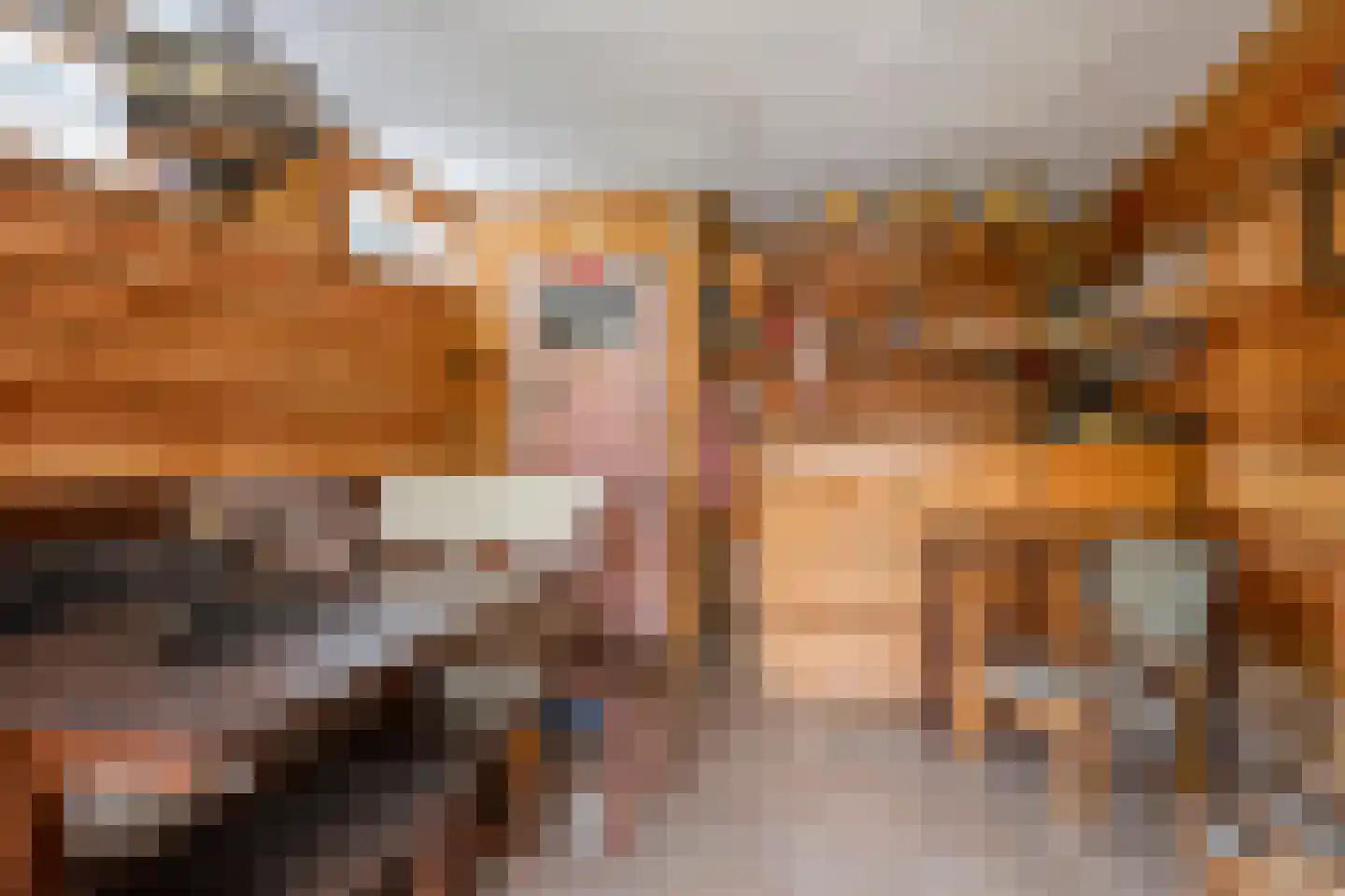 Oudelandsestraat 35 Tholen thumbnail 58