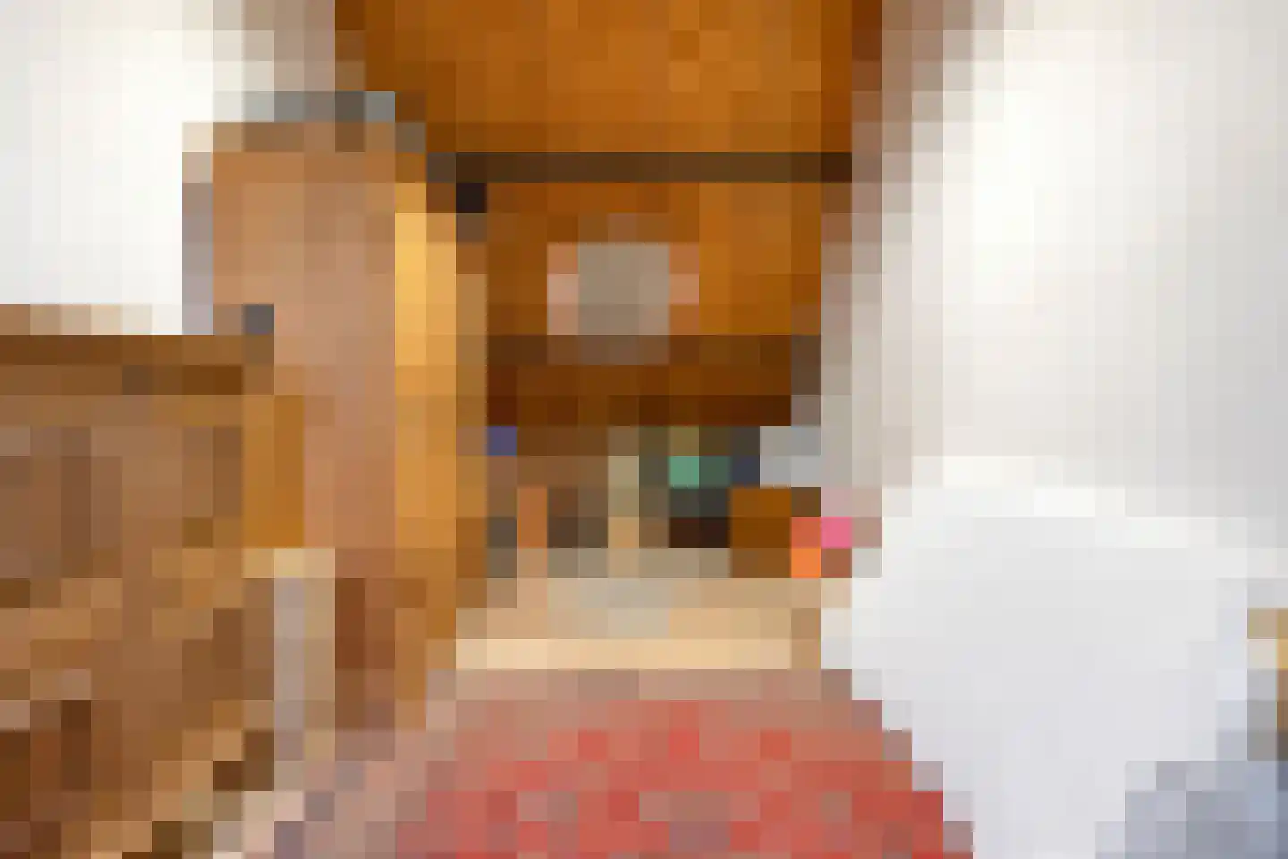 Oudelandsestraat 35 Tholen thumbnail 64