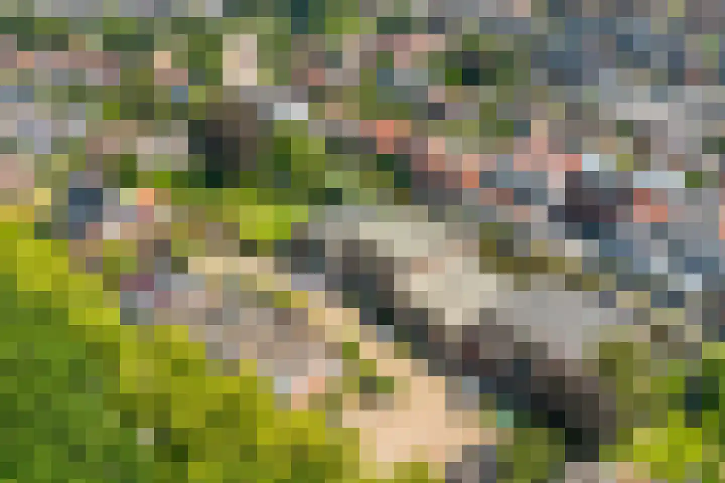 Oudelandseweg 10 J Woerden thumbnail 30