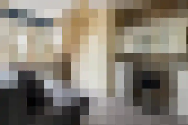 Oudelandseweg 14 Woerden thumbnail 16