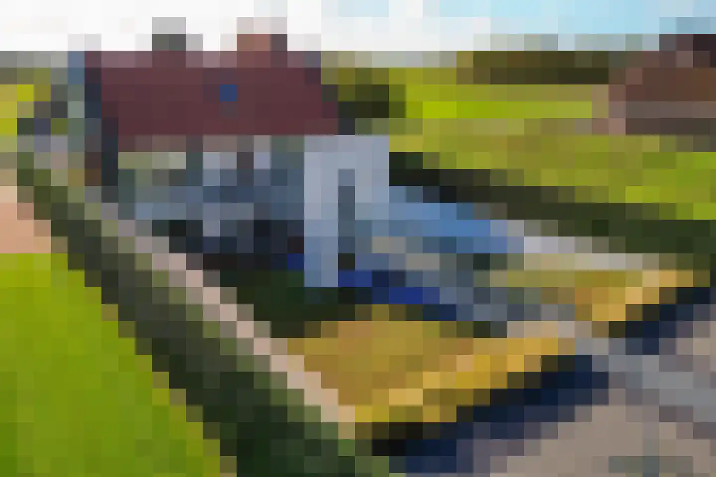 Oudelandseweg 20 Ouddorp thumbnail 32