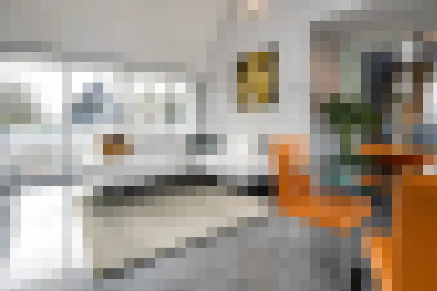 Oudelandseweg 20 Ouddorp thumbnail 5