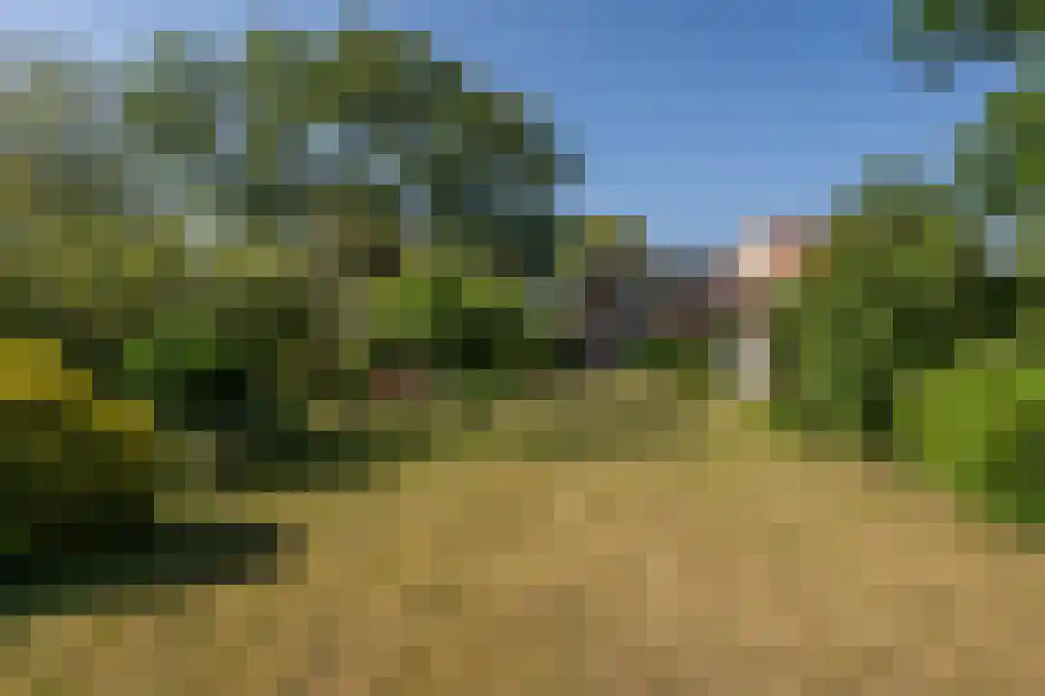 Oudelandseweg 26 Ouddorp thumbnail 4