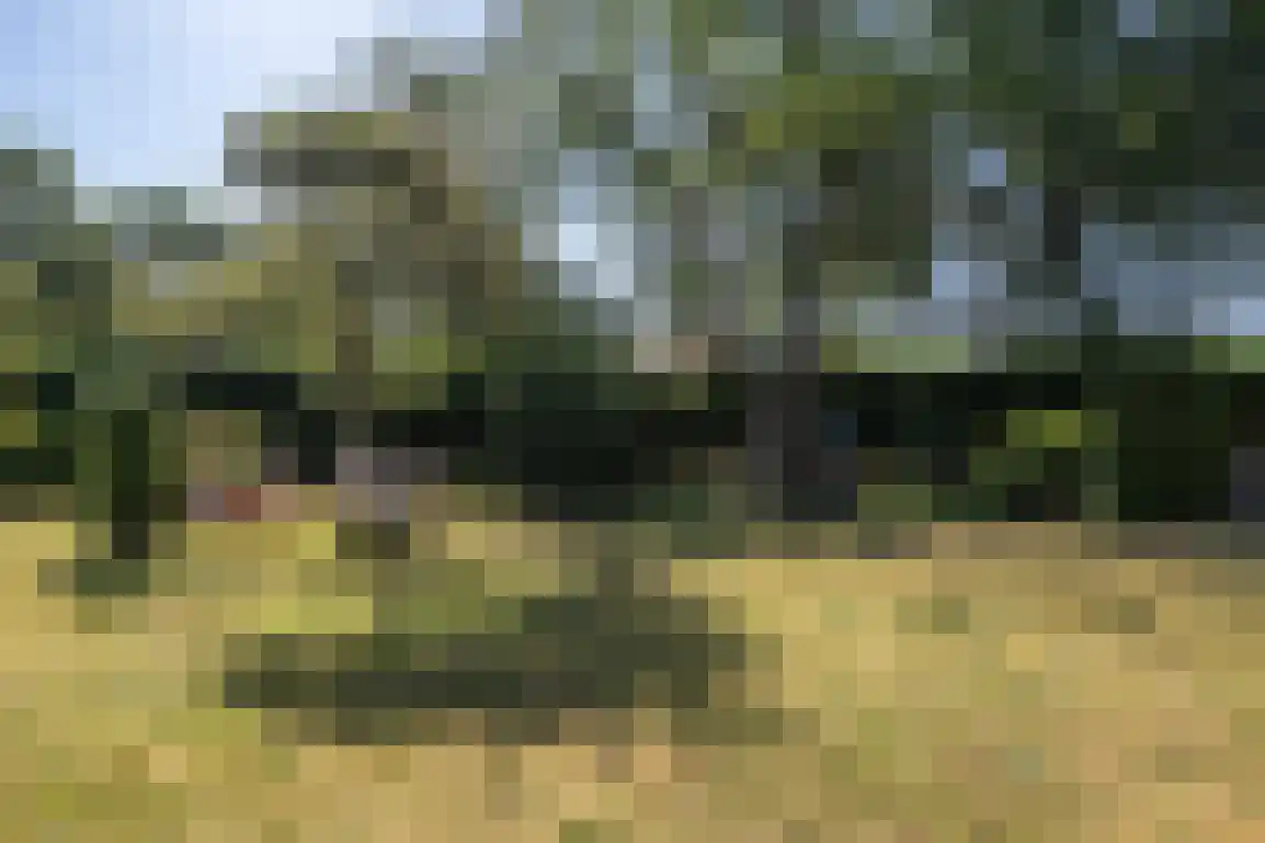 Oudelandseweg 26 Ouddorp thumbnail 46