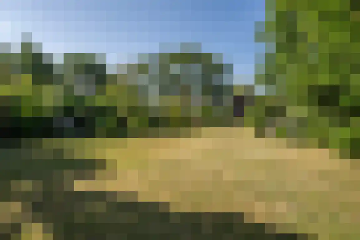 Oudelandseweg 26 Ouddorp thumbnail 50