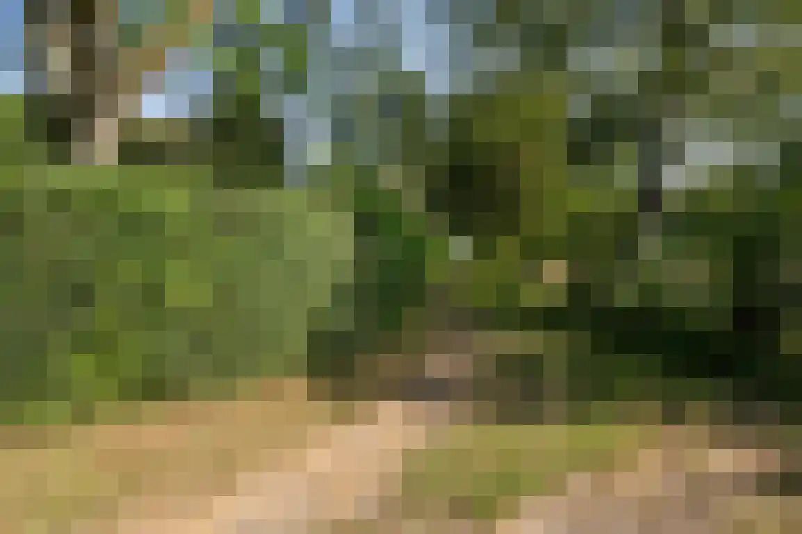 Oudelandseweg 26 Ouddorp thumbnail 60