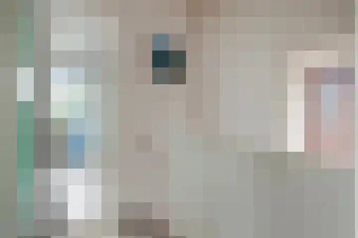 Oudelandseweg 3 Woerden thumbnail 15