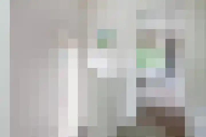 Oudelandseweg 3 Woerden thumbnail 19