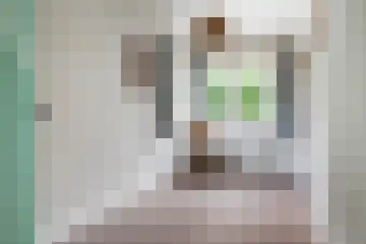 Oudelandseweg 3 Woerden thumbnail 20