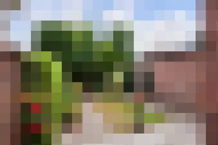 Oudelandseweg 3 Woerden thumbnail 32