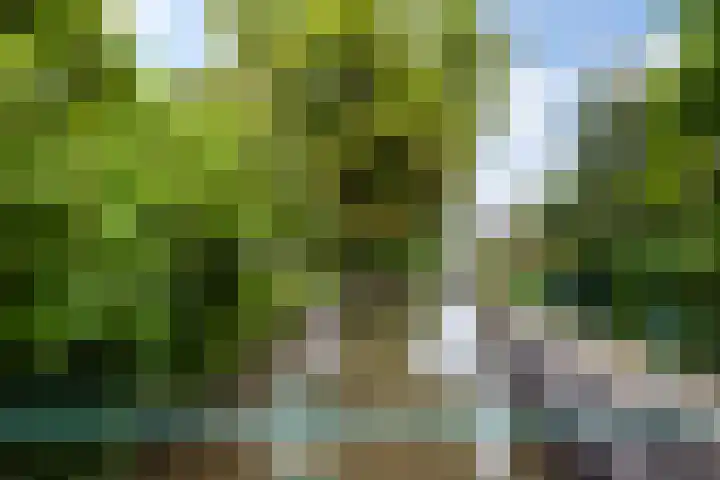 Oudelandseweg 3 Woerden thumbnail 36