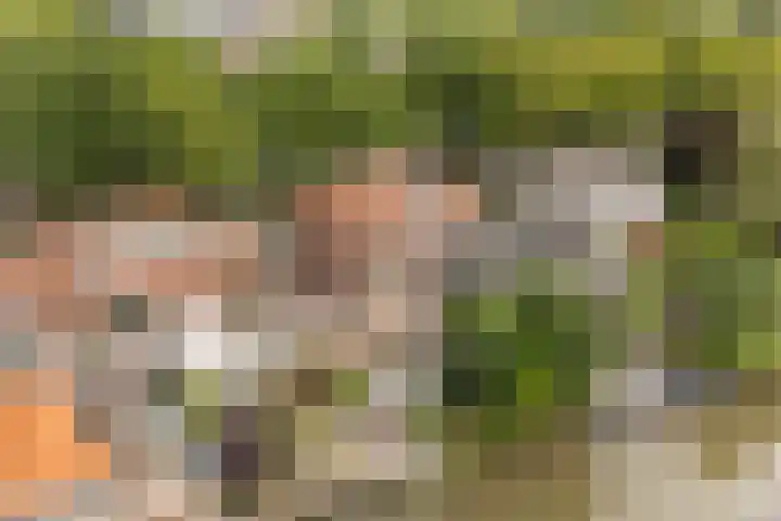 Oudelandseweg 3 Woerden thumbnail 40