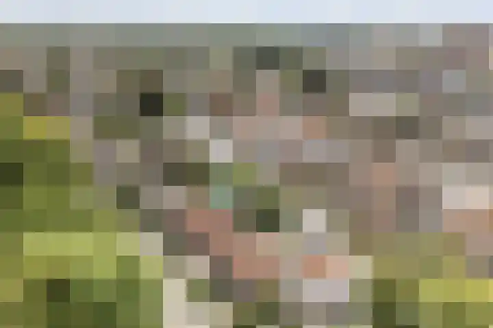 Oudelandseweg 3 Woerden thumbnail 41