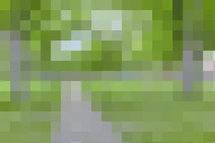 Oudelandseweg 3 Wolphaartsdijk thumbnail 35