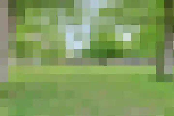 Oudelandseweg 3 Wolphaartsdijk thumbnail 36