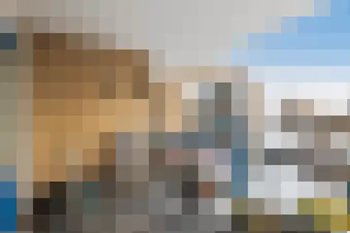 Oudelandseweg 41 G Woerden thumbnail 20