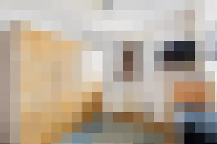 Oudelandseweg 41 G Woerden thumbnail 21