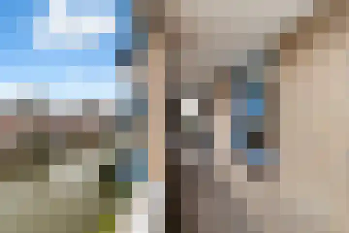 Oudelandseweg 41 G Woerden thumbnail 24