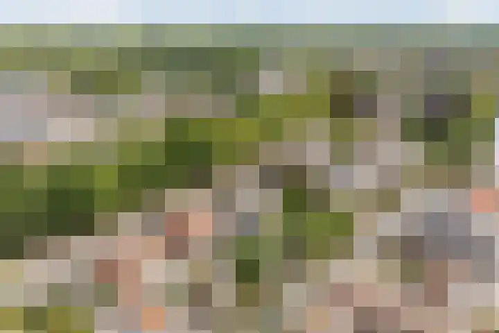 Oudelandseweg 41 G Woerden thumbnail 33