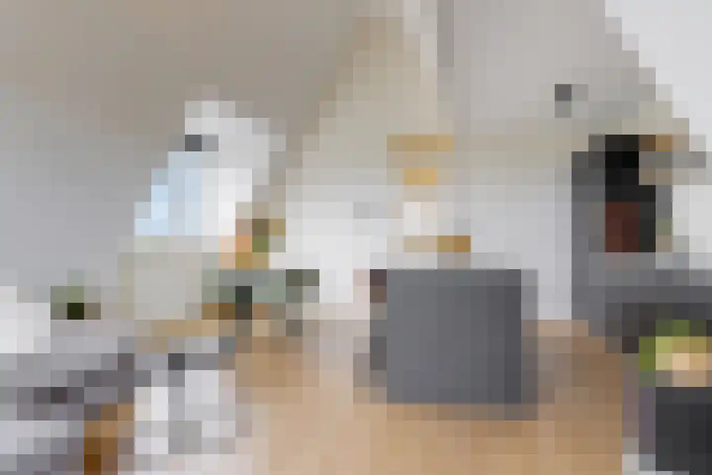 Oudelandseweg 44 Z Woerden thumbnail 7