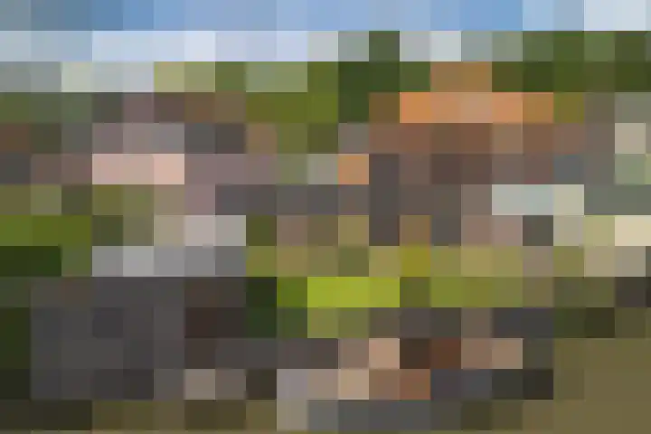 Oudelandseweg 46 Woerden thumbnail 41