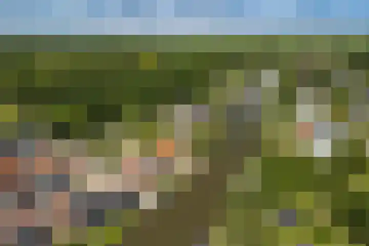 Oudelandseweg 46 Woerden thumbnail 42