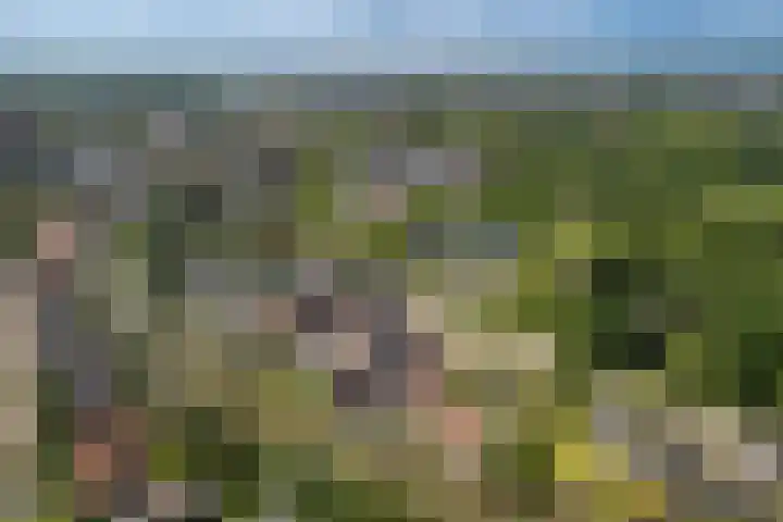 Oudelandseweg 46 Woerden thumbnail 43