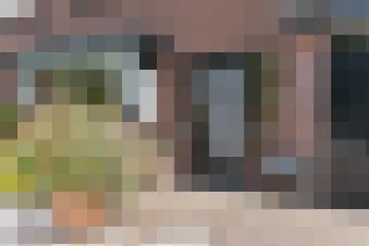 Oudelandseweg 46 Woerden thumbnail 5