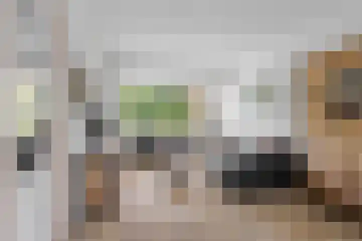 Oudelandseweg 46 Woerden thumbnail 8