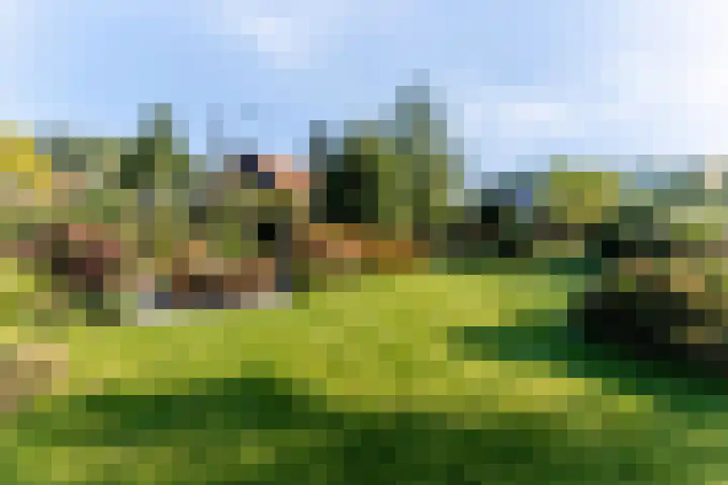 Oudelandseweg 67 Ouddorp thumbnail 55