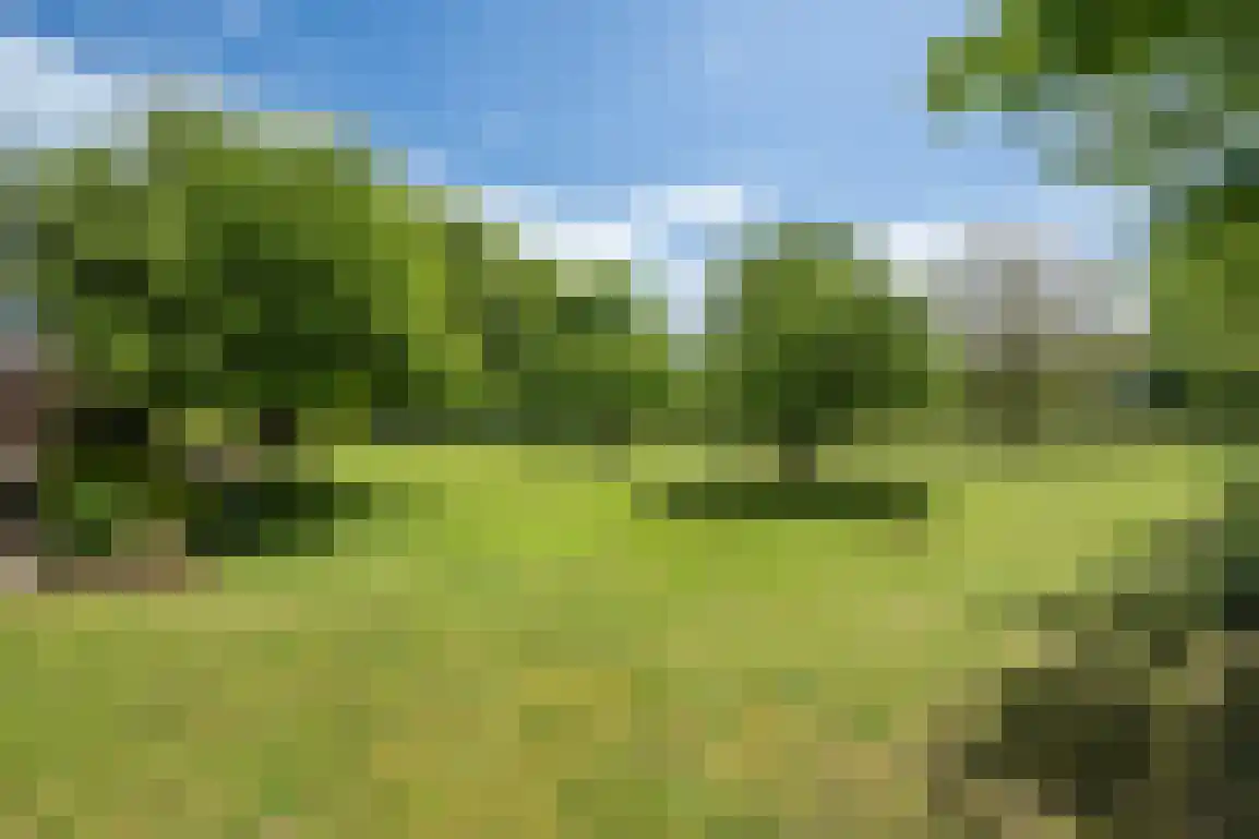 Oudelandseweg 69 Ouddorp thumbnail 4