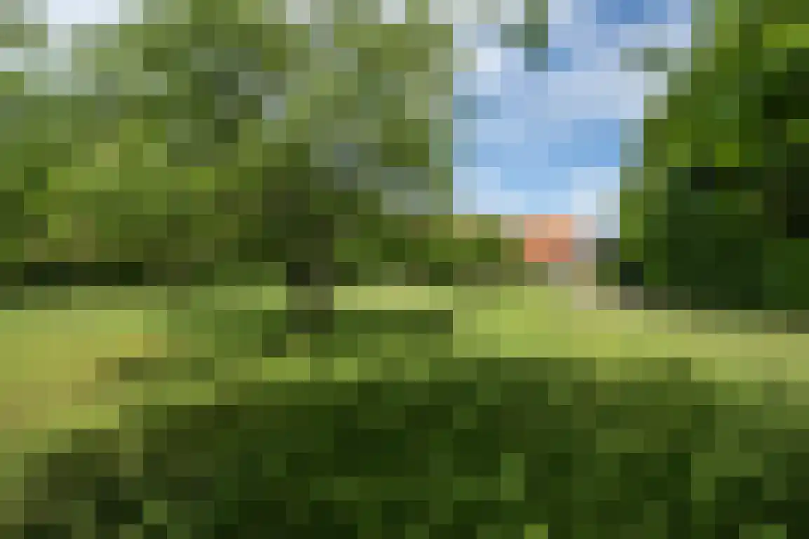Oudelandseweg 69 Ouddorp thumbnail 49