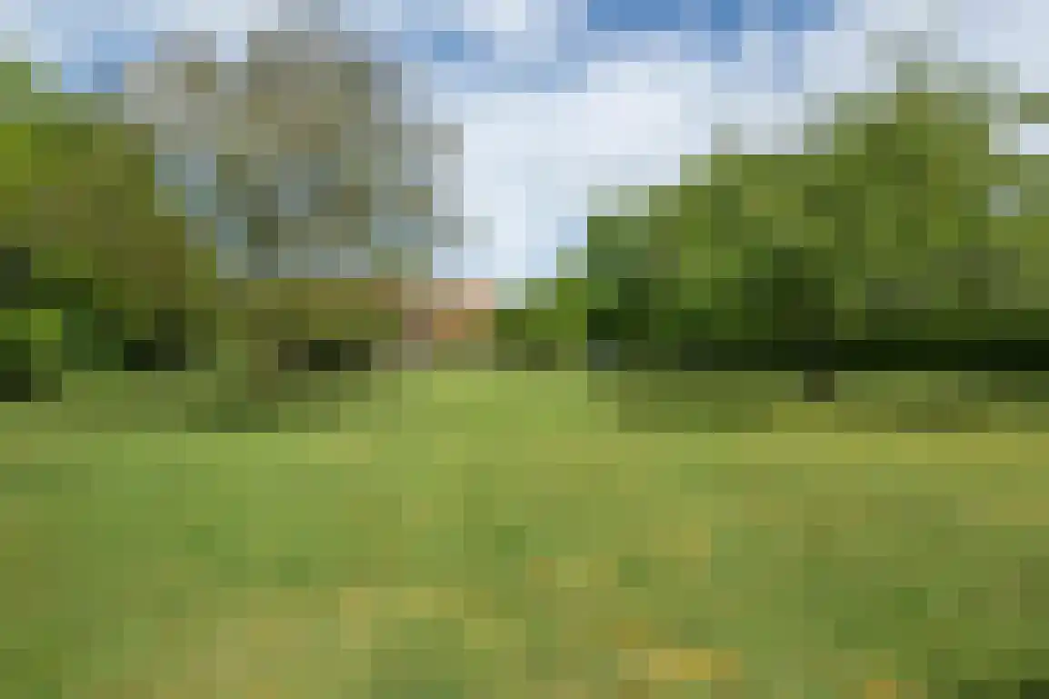 Oudelandseweg 69 Ouddorp thumbnail 51