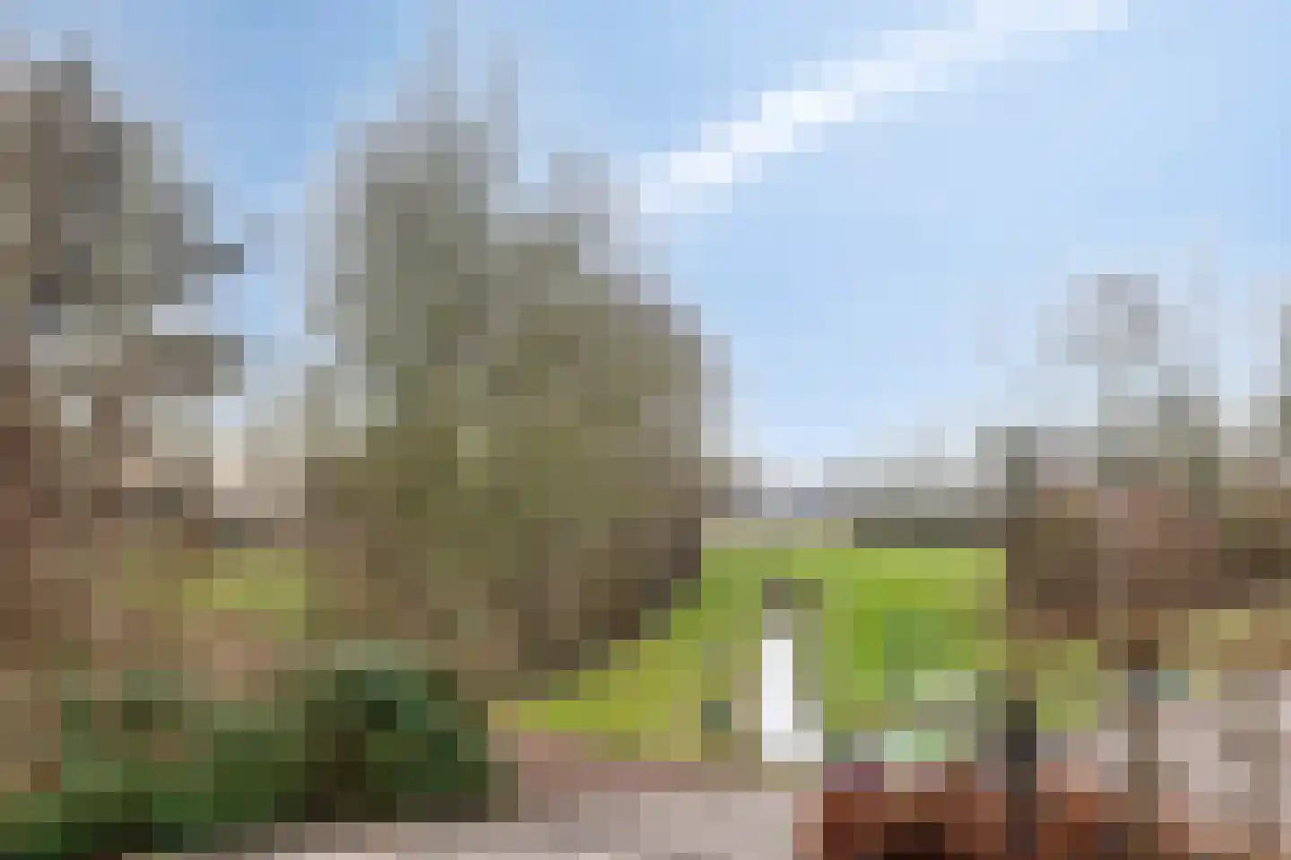 Oudelandseweg 8 Wolphaartsdijk thumbnail 32