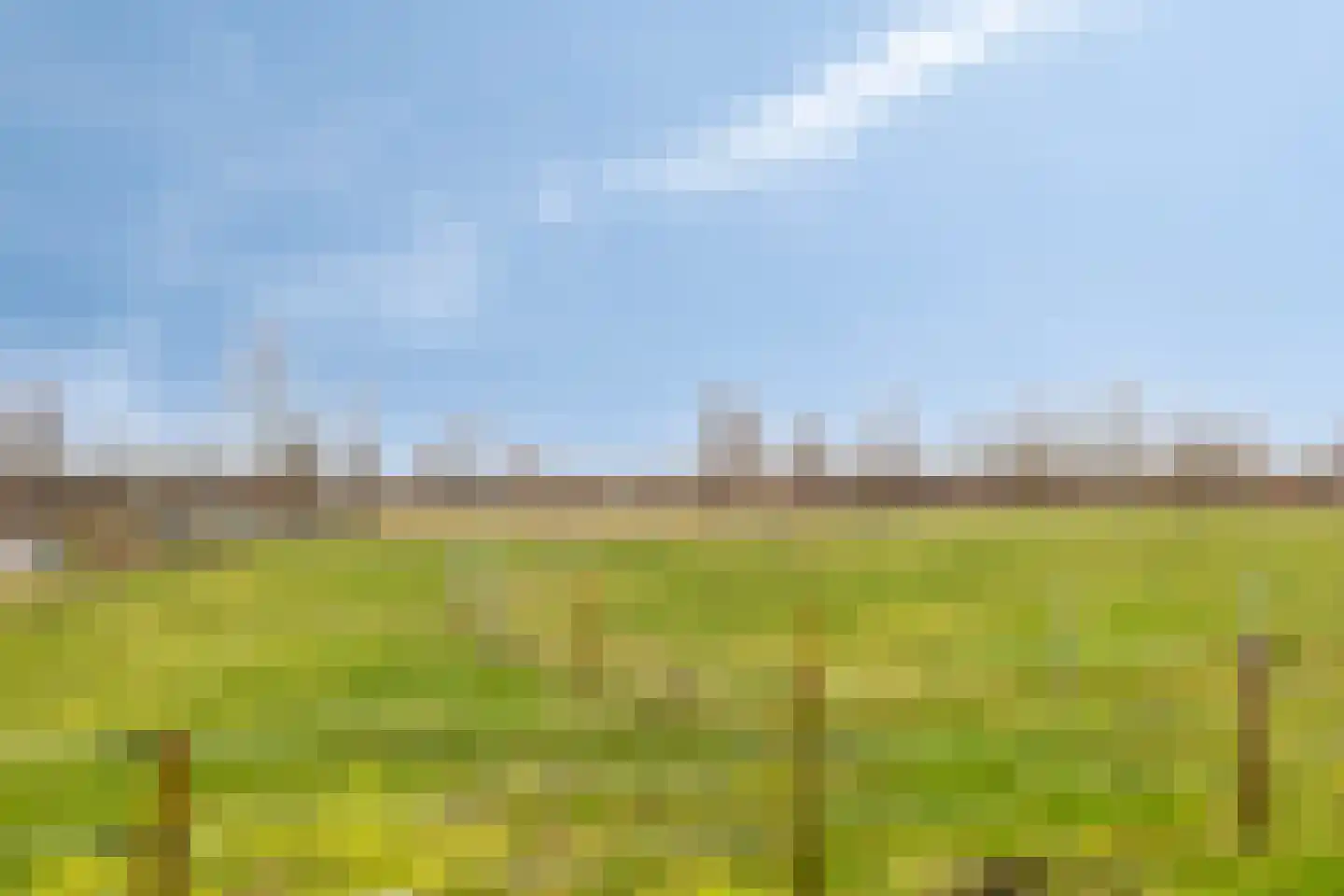 Oudelandseweg 8 Wolphaartsdijk thumbnail 34