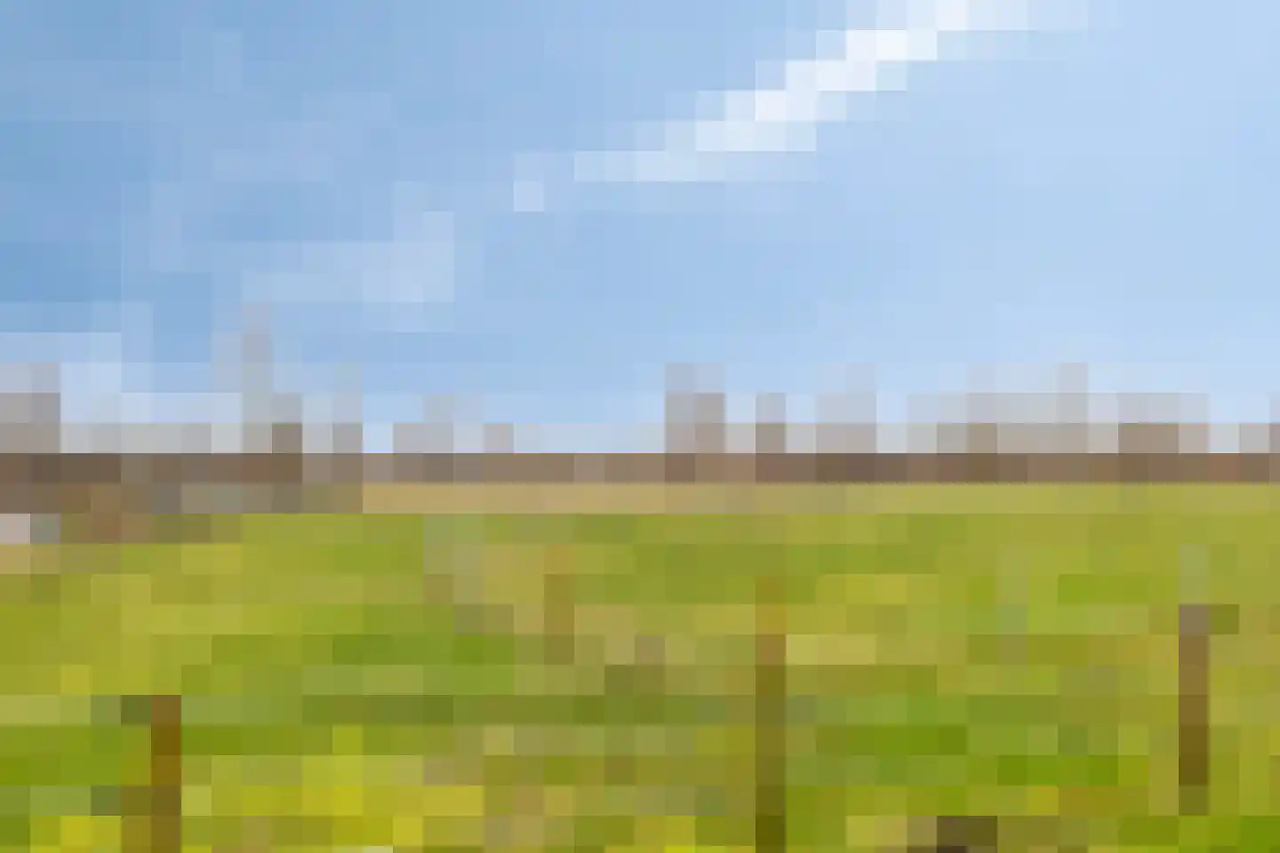 Oudelandseweg 8 Wolphaartsdijk thumbnail 35