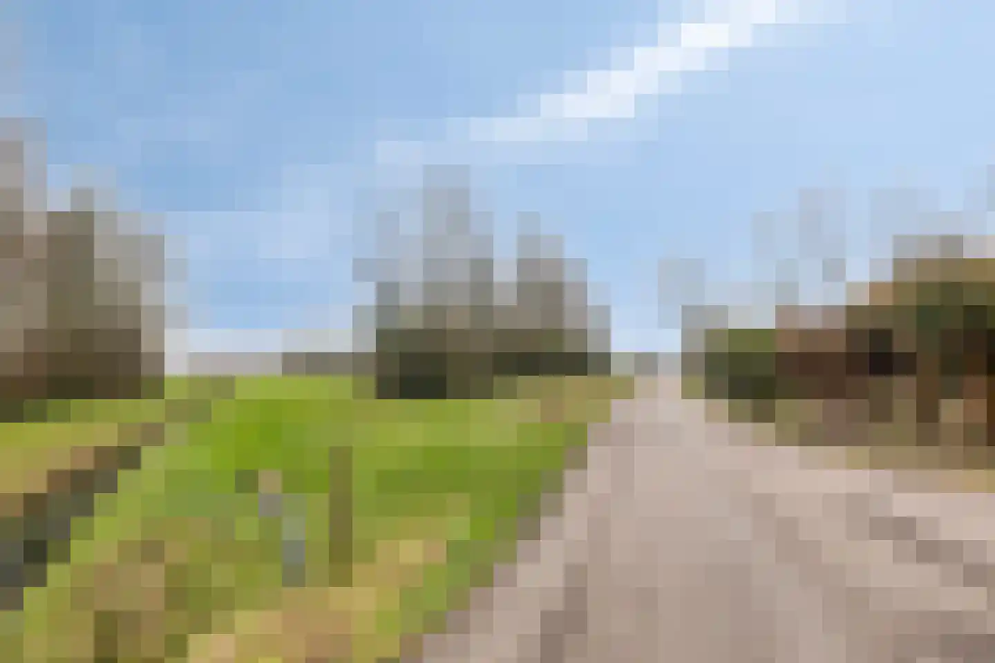 Oudelandseweg 8 Wolphaartsdijk thumbnail 37