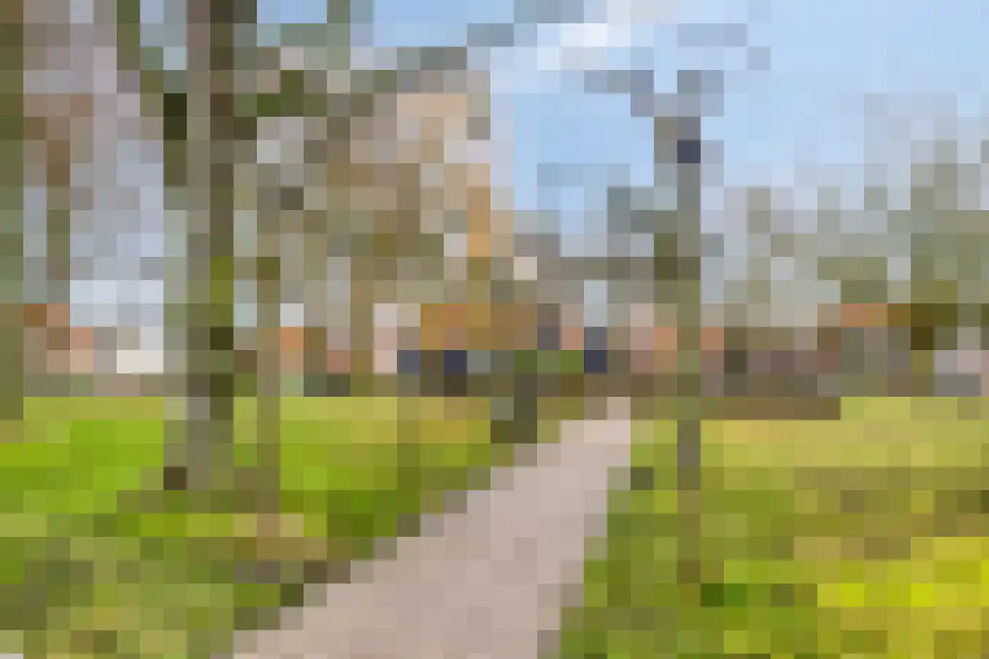 Oudelandseweg 8 Wolphaartsdijk thumbnail 38