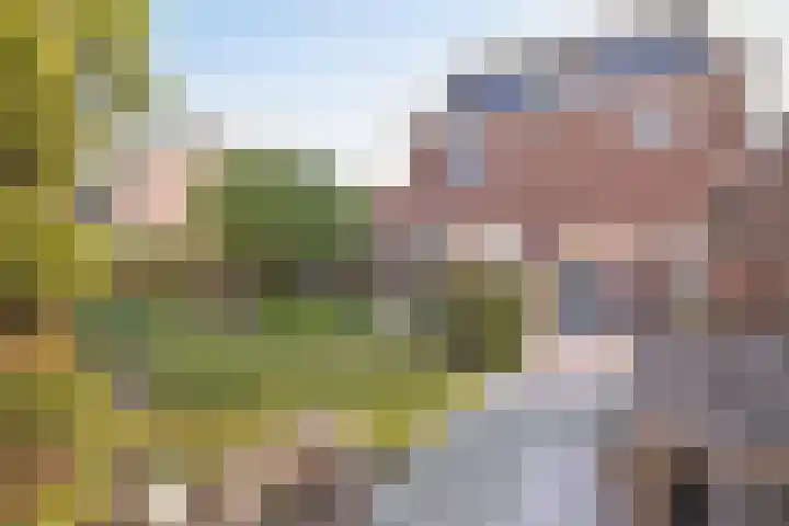 Oudelandseweg 84 Ridderkerk thumbnail 30