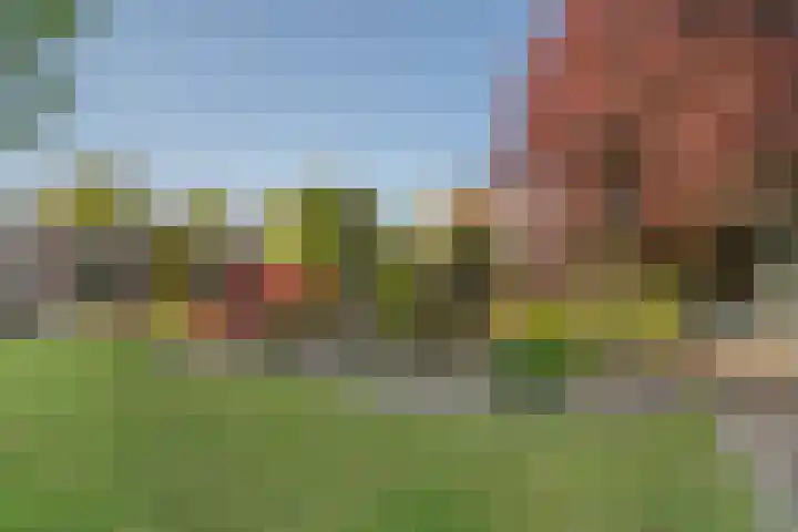 Oudelandseweg 84 Ridderkerk thumbnail 31