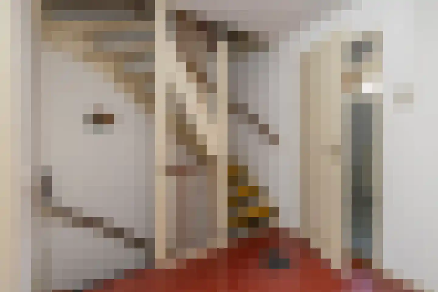 Oudelandstraat 11 's-Gravenzande thumbnail 27