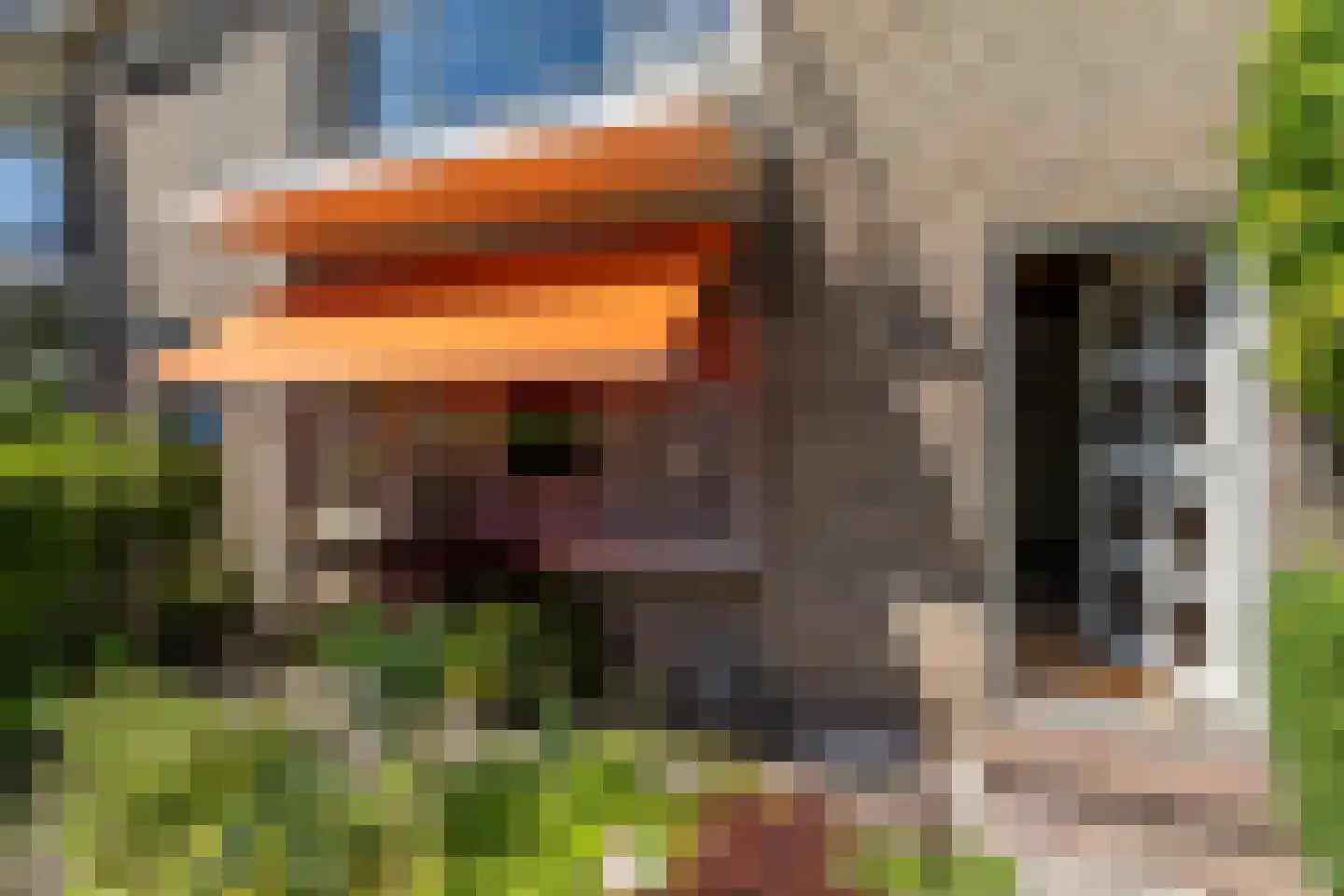 Oudelandstraat 11 's-Gravenzande thumbnail 34