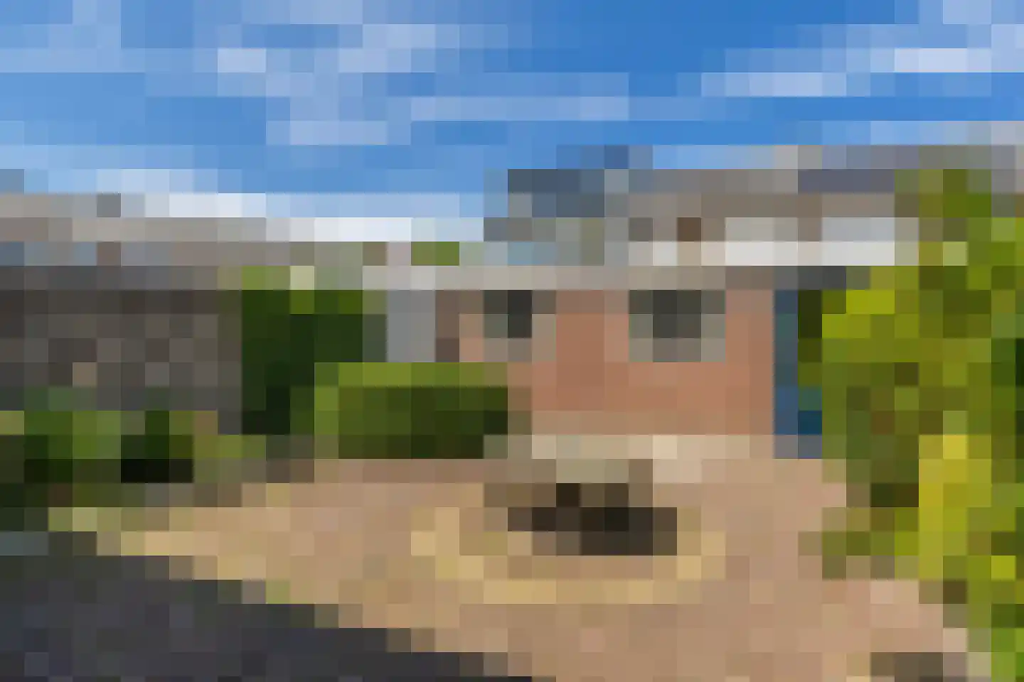Oudelandstraat 11 's-Gravenzande thumbnail 37