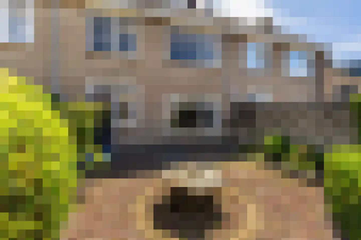 Oudelandstraat 11 's-Gravenzande thumbnail 4
