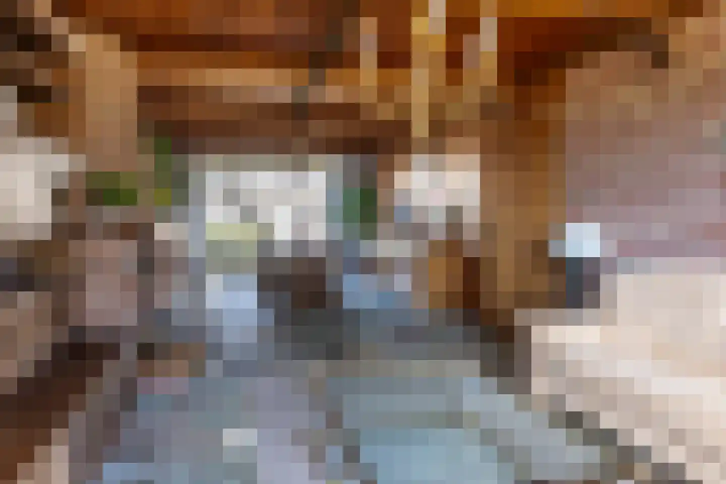 Oudelandstraat 11 's-Gravenzande thumbnail 8