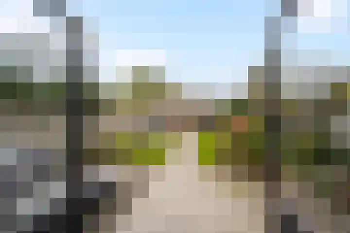 Oudelandstraat 12 's-Gravenzande thumbnail 6