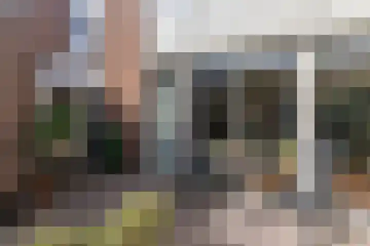 Oudelandstraat 52 's-Gravenzande thumbnail 17